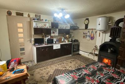 Casă cu 2 camere în Pestișu Mic - 4