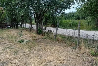 Casă cu 2 camere cu Teren 2100 Mp în Roșia de Secaș - 10