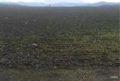 Teren de 3533 mp, în Florești - 2
