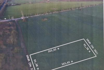 Teren Construcții intravilan de 15000 mp, în Costinești - 2