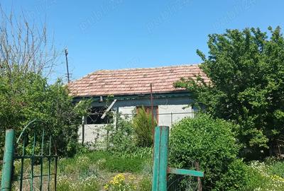 Vand casa batraneasca sat ciresanu com Baba Ana judetul Prahova casa compusa din trei camere plus de - 12