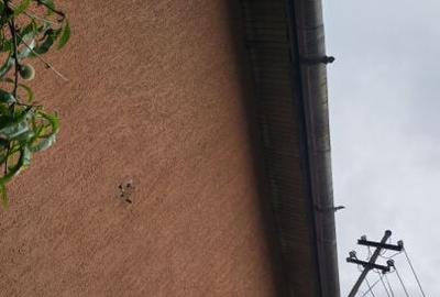 Casa 75 mp +teren 1.246 mp str.Faurilor, nr.63 ARAD - 23