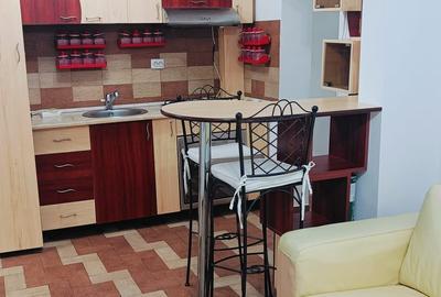 Apartament 2 camere Podu de Fier - Prof. Paul - 6