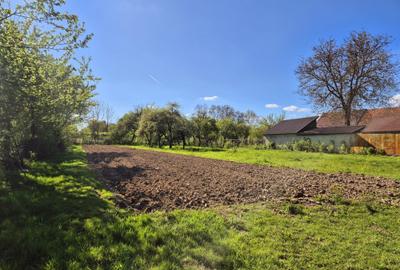 Comision 0 %/ Teren intravilan Sercaita 2247 mp Comision 0 %/ Teren intravilan Sercaita 2247 mp - 12