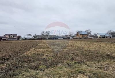 Casă / Vilă cu 12 camere, teren intravilan de 2869mp în Siminicea, SV - 26