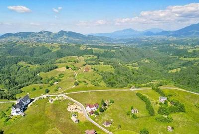 Teren intravilan - 3