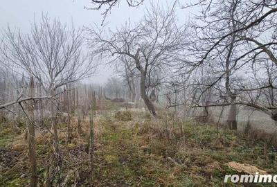 Casa individuala 3 camere, teren 2200 mp, garaj, terasa, pivnita, Pianu de Sus - 8