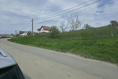 Spațiu comercial, în Bogonos - 4