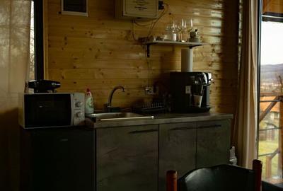 Casă cu 2 camere cu Teren 4300 Mp în Valea Brazilor - 4