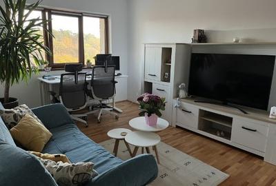 Inchiriez apartament langa parc, Valea Aurie - 2