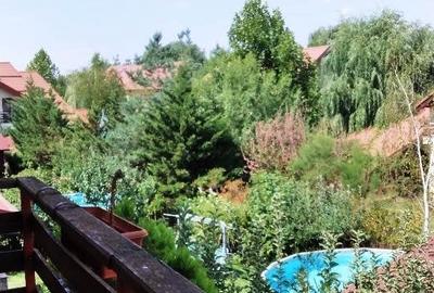 Corbeanca,vila amenajata deosebit,teren 500 mp,crama,foisor,vegetatie matura - 15