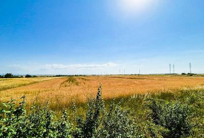 Teren de 75000 mp, în Costești - 1