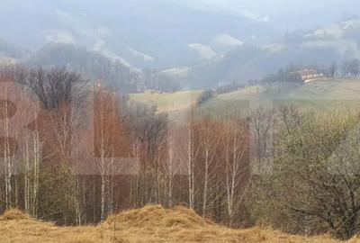 Teren de 9648 mp, în Central - 4