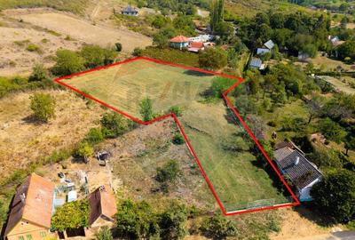 Mini?- destina?ia ideala pentru o resedin?a de lux ?... - 5