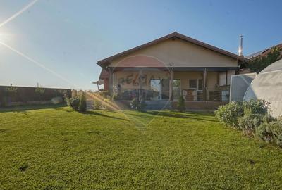 Casa parter pe teren 750 mp in Sanpetru - Comision 0% - 32