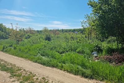 Teren Bolintin Deal 1383mp intravilan deschidere  26m strada Campul nou - 4