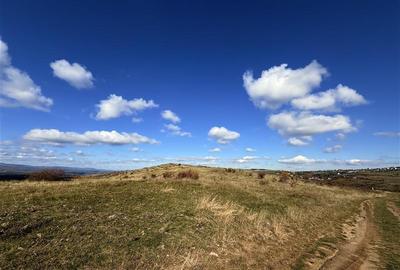 Comision 0% Oportunitate investitie teren extravilan  Salicea - 8