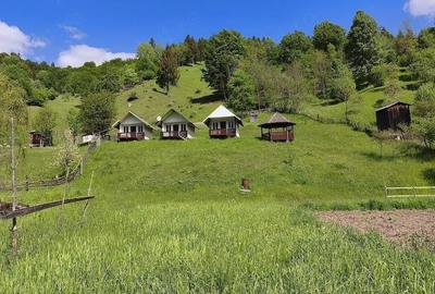 Casă cu Teren 3344 Mp în Dreptu - 7