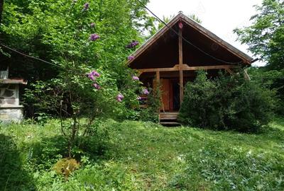 Casă cu 2 camere în Central - 8