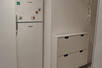 Inchiriere apartament 2 camere Victoriei Felix - 19
