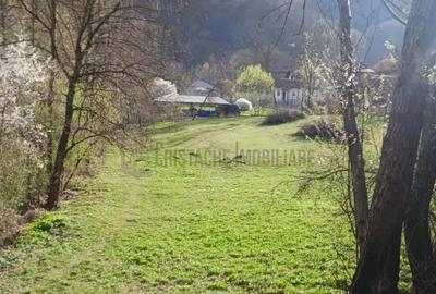 Teren de 7489 mp, în Hotarele - 4