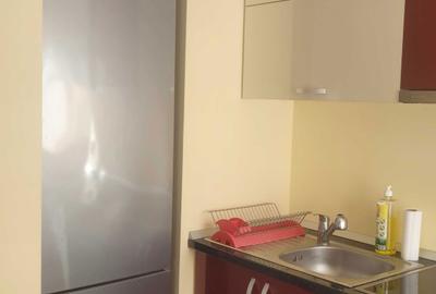 Apartament cu 2 camere decomandat în Rogerius - 2