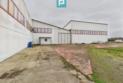 Hală de producție, cu birouri și teren, în Sebiș - 20