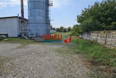 Spațiu Industrial în Alba Iulia de închiriat - 8