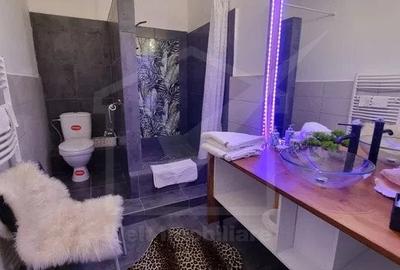 Casa 5 cam., 300 mp, crama, gradina, iaz, aer curat, liniste,  cartier Gruia - 14