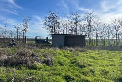 Teren agricol extravilan de 5000 mp, în Poiana - 2