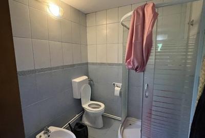 Casa-langa studiourile Buftea, 2 constructii, curte cu pomi, 2500mp, langa lac - 15