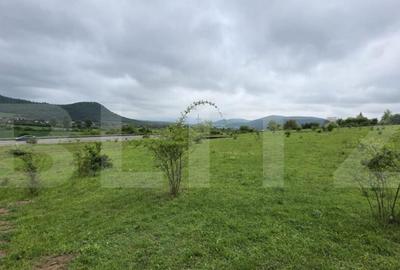 Teren intravilan de vanzare, 14,5 ari, zona Sud-Bistrita - 2