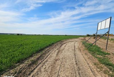 Spațiu comercial, în Afumați - 4