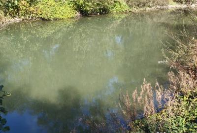 Teren de 7178 mp, în Frătăuții Vechi - 1