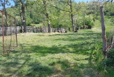 Teren extravilan de vanzare Stane?ti, 3.861 mp, livada de cire?i - 5