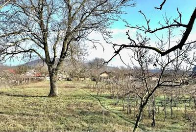 Casă cu 4 camere cu Teren 2000 Mp în Slava Cercheză - 1