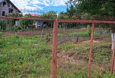 Teren 800 mp de inchiriat Miroslava, Ia?i | Ideal pent - 2