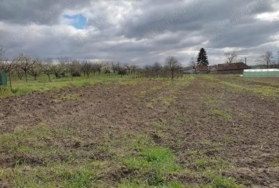 Casă cu 2 camere în Cetariu - 1