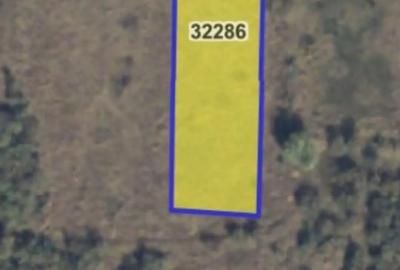 Teren de 3000 mp, în Vulturu
