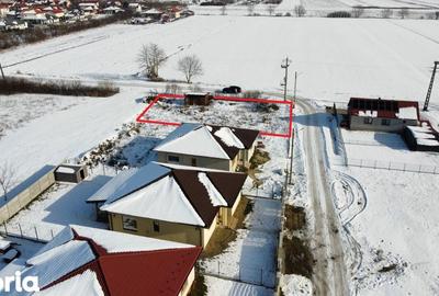 Teren de 800 mp, în Păulești - 9