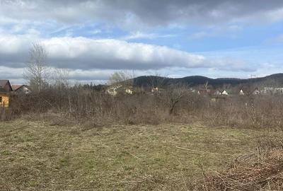 Teren de 1102 mp, în Bănești - 2