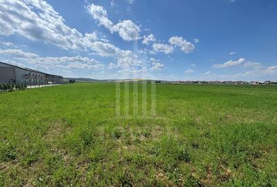 🌿 Teren 10.000 mp, Șura Mică – Ocna Sibiului | Investiție, COMISION 0% - 5