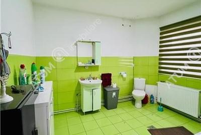 Spatiu industrial cu 2 hale si anexe teren 2543 in Hamba judetul Sibiu - 15