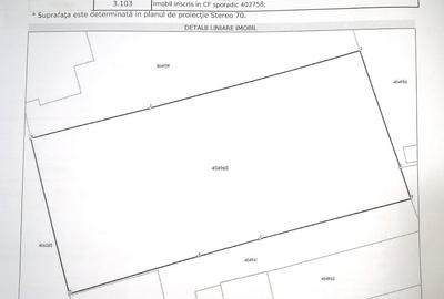 Teren Construcții intravilan de 3103 mp, în Becicherecu Mic - 2