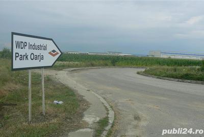 Teren de 15000 mp, în Oarja - 5