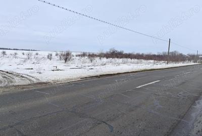 Spațiu comercial, în Pasărea - 5