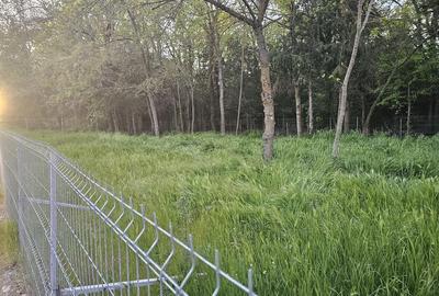 Teren de 500 mp, în Central - 1