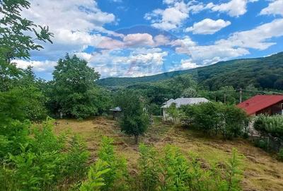 Teren Intravilan de vanzare 3551mp Poiana Copaceni Com Gura Vitioarei - 12