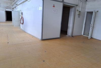 Spațiu comercial, de 1,200 mp, în Carani - 4