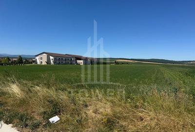 ? Teren 10.000 mp, Șura Mică - Ocna Sibiului | Investiție, COMISION 0% - 2